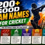 200+ Good Team Names for Cricket